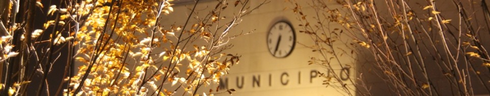 Il Municipio