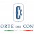 Documentazione relativa allattivit di controllo svolta dalla corte dei Conti.