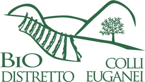 Foto dell'associazione
